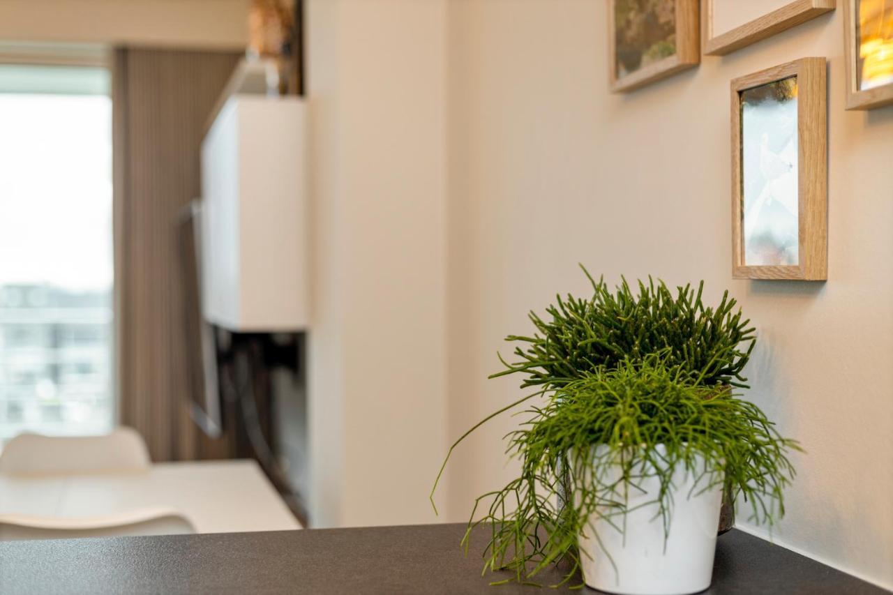 Ruim Appartement Aan De Jachthaven بلانكنبرخ المظهر الخارجي الصورة